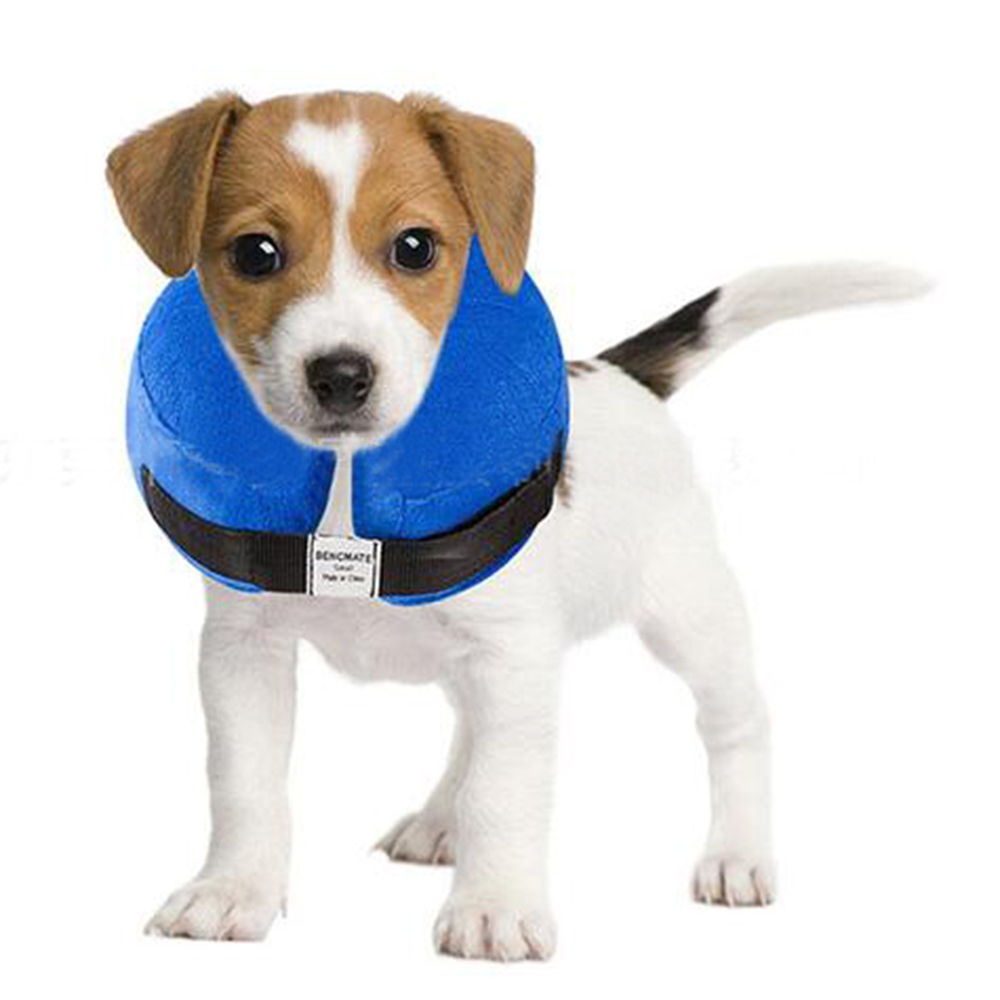 Inflatable Dog Collar